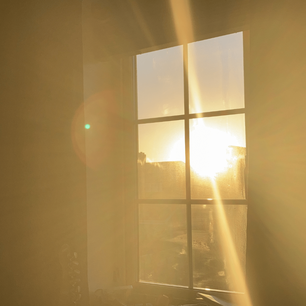 A Day Out Singapore (Expenses&nbsp;Edition)